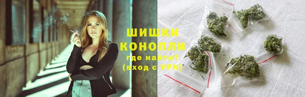 дживик Тихвин