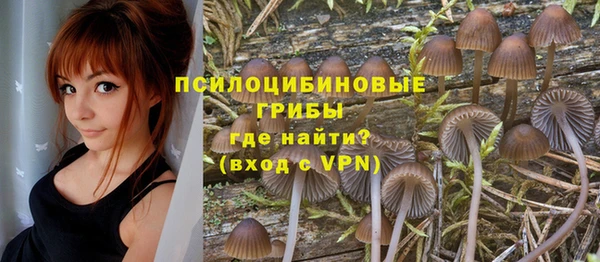 шишки Алексеевка