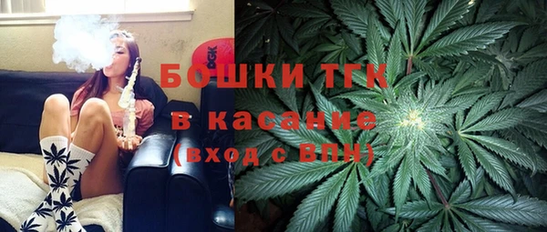 дживик Тихвин