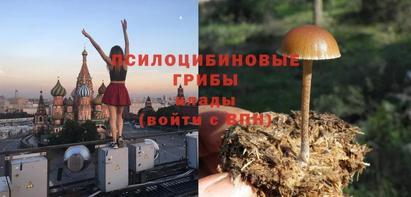 spice Алексин